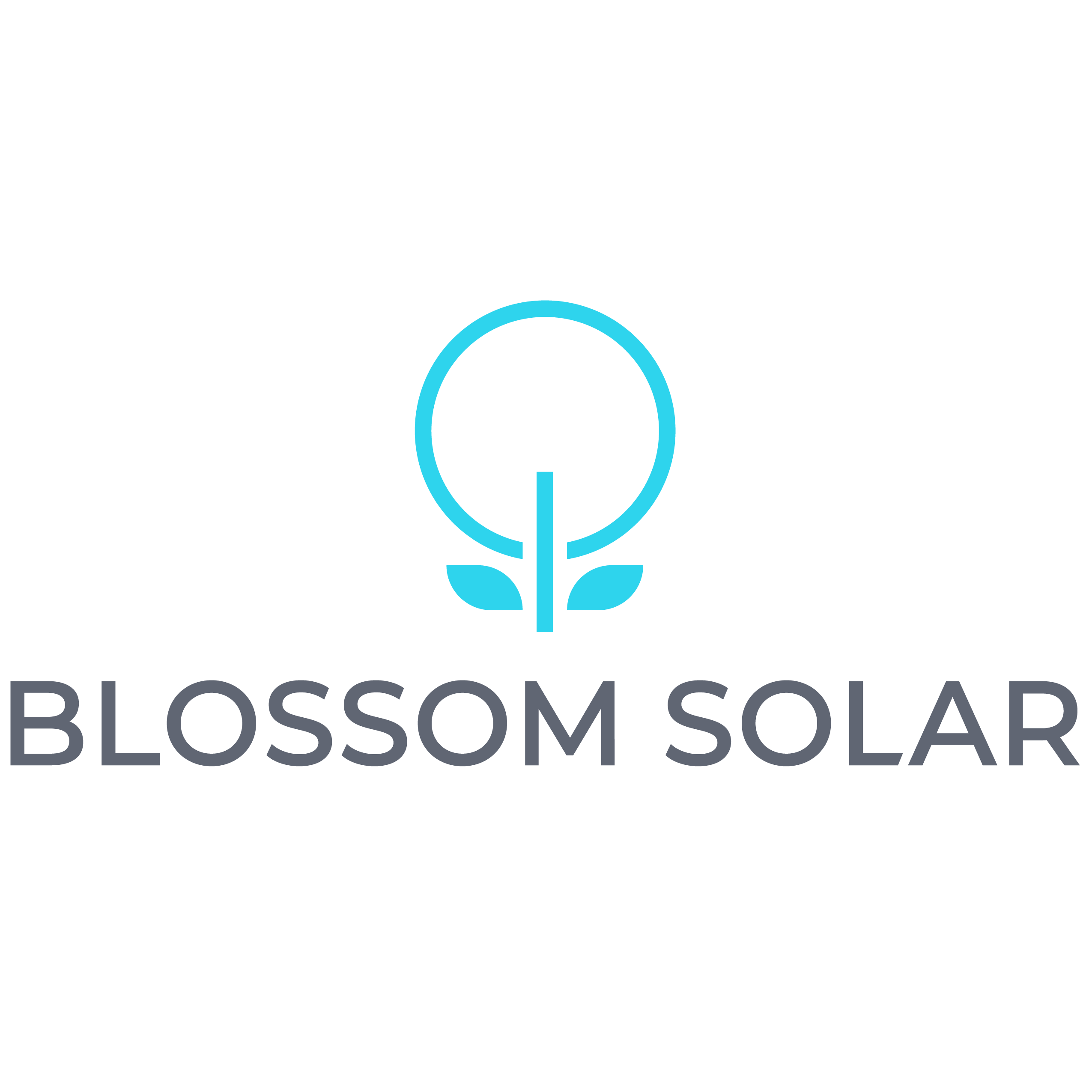 blossom solar logo